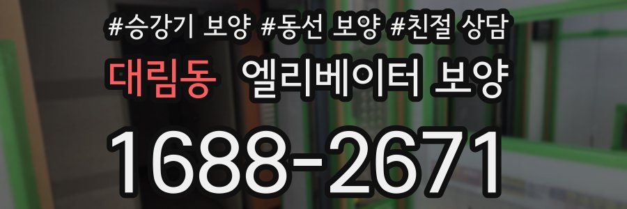 대림동 엘리베이터 보양