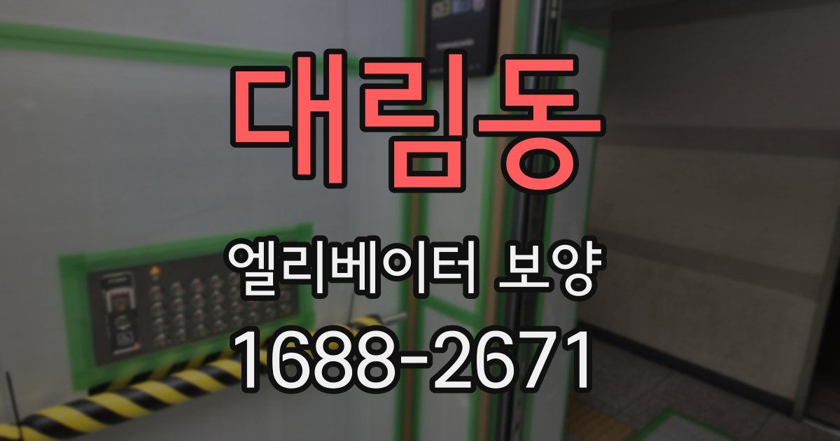 대림동 엘리베이터 보양