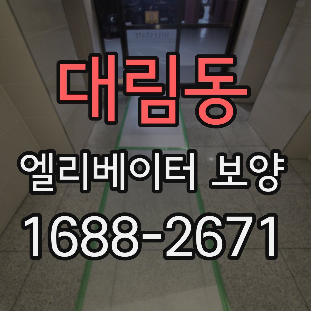 대림동 엘리베이터 보양