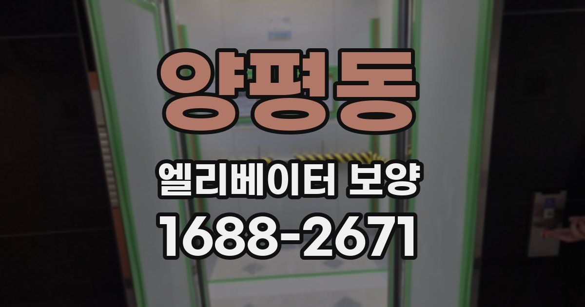 양평동 엘리베이터 보양