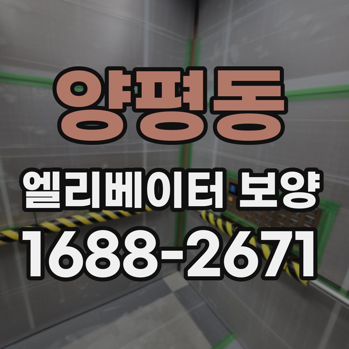 양평동 엘리베이터 보양
