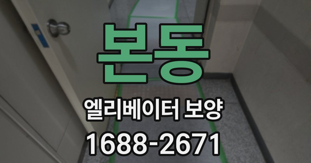 본동 엘리베이터 보양