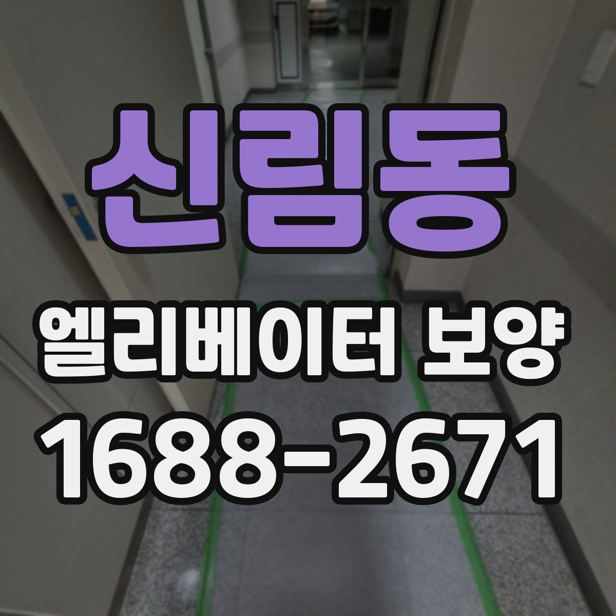 신림동 엘리베이터 보양