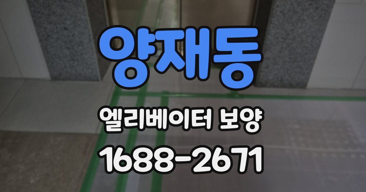 양재동 엘리베이터 보양