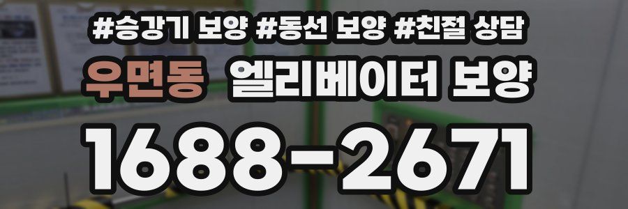 우면동 엘리베이터 보양