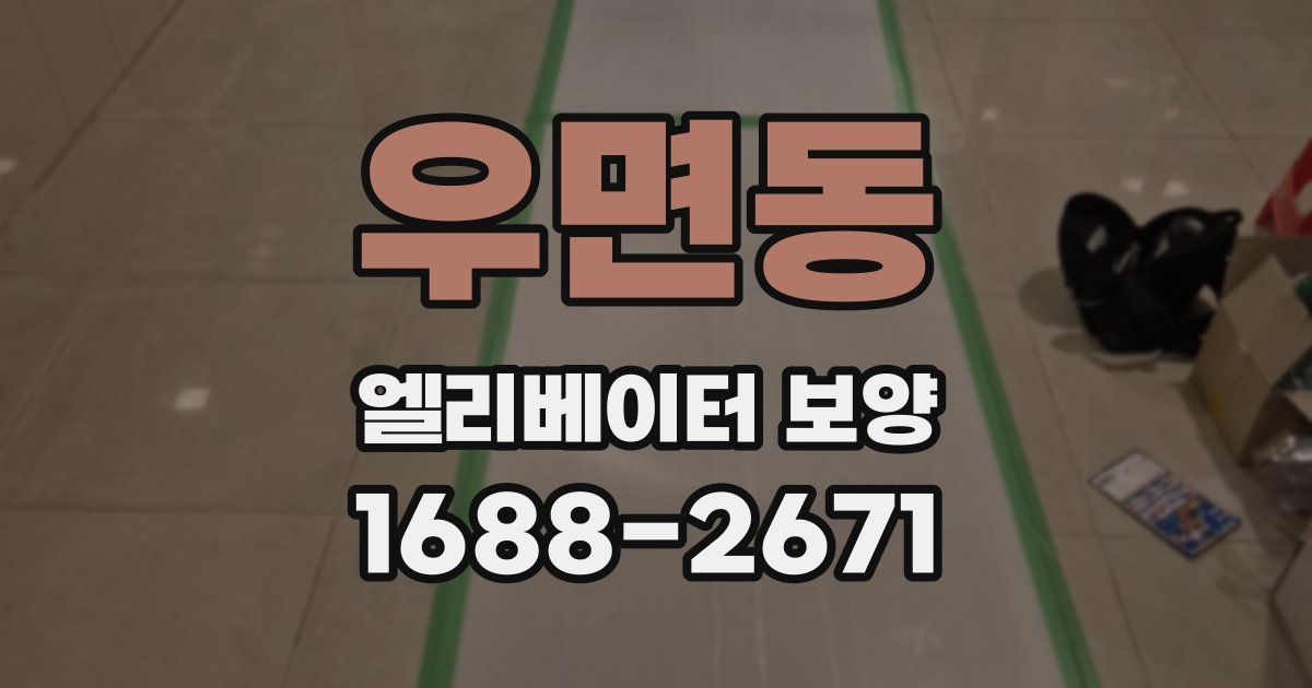 우면동 엘리베이터 보양