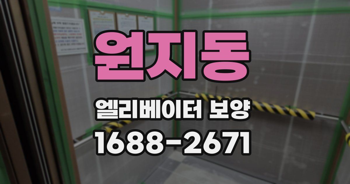 원지동 엘리베이터 보양