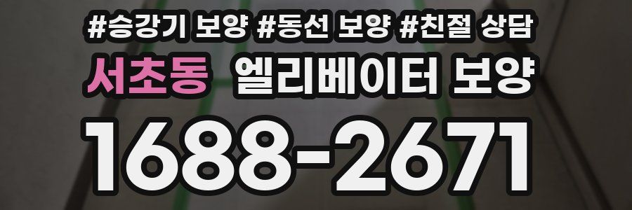 서초동 엘리베이터 보양