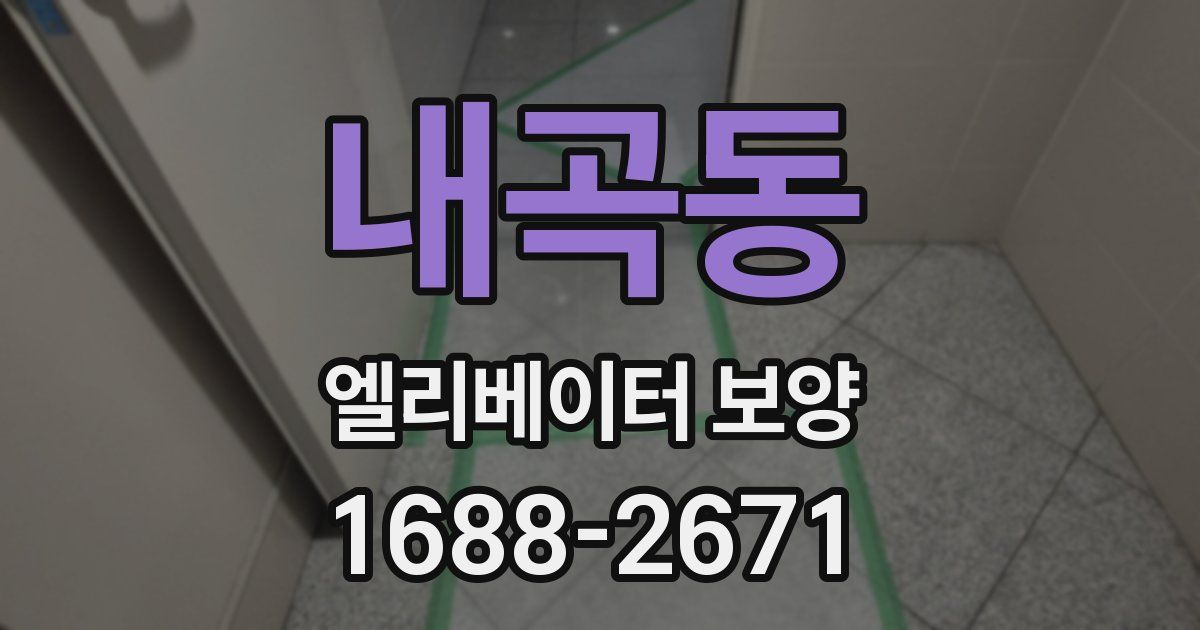 내곡동 엘리베이터 보양