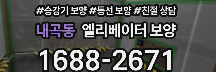 내곡동 엘리베이터 보양