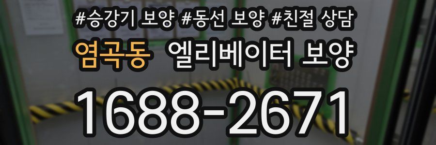 염곡동 엘리베이터 보양