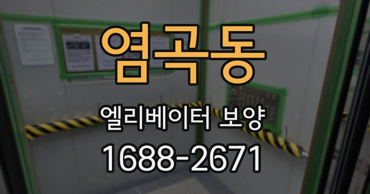 염곡동 엘리베이터 보양