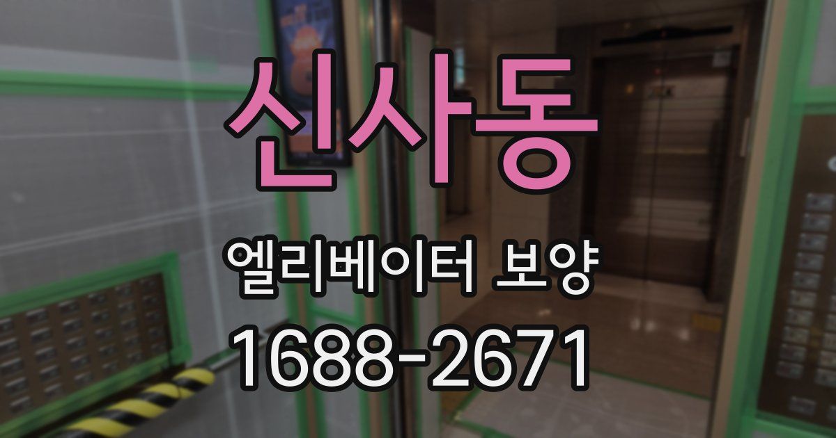 신사동 엘리베이터 보양