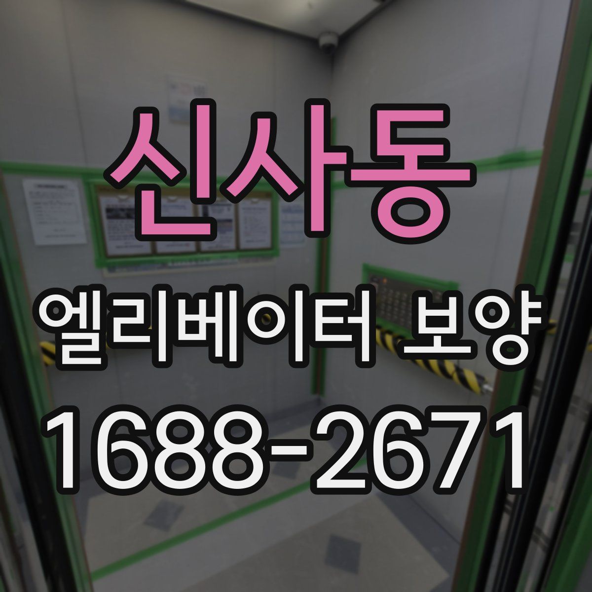 신사동 엘리베이터 보양