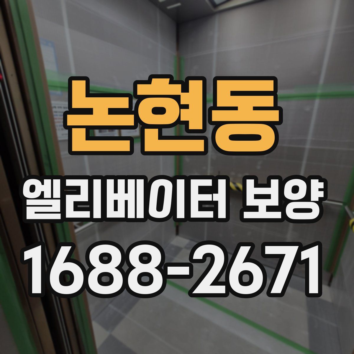논현동 엘리베이터 보양