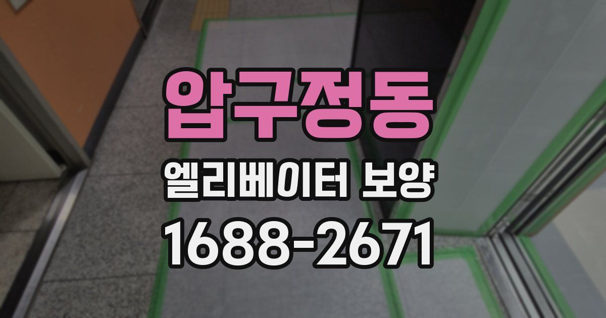 압구정동 엘리베이터 보양