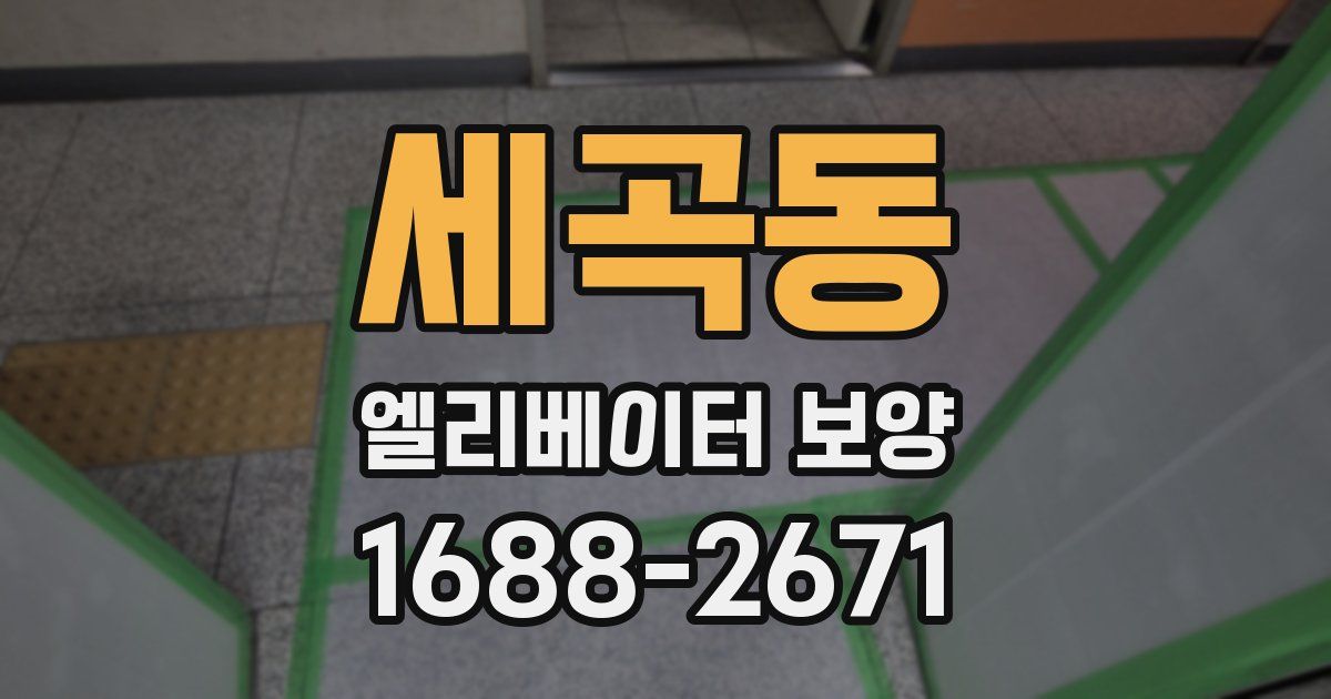 세곡동 엘리베이터 보양