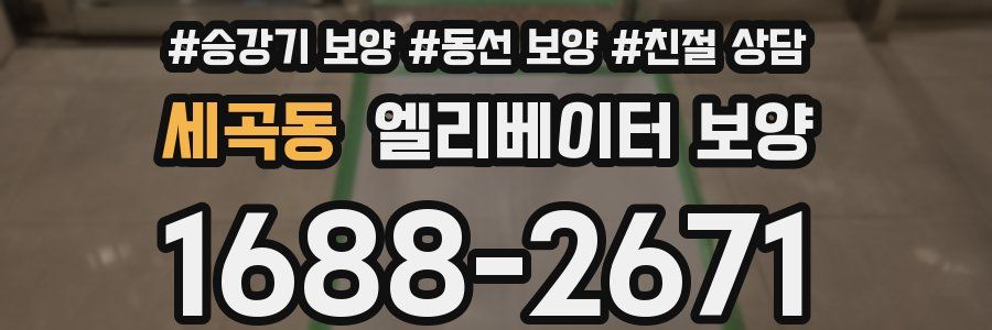 세곡동 엘리베이터 보양