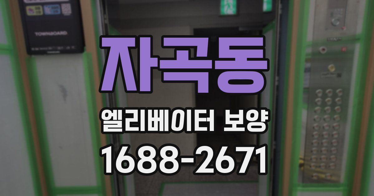 자곡동 엘리베이터 보양
