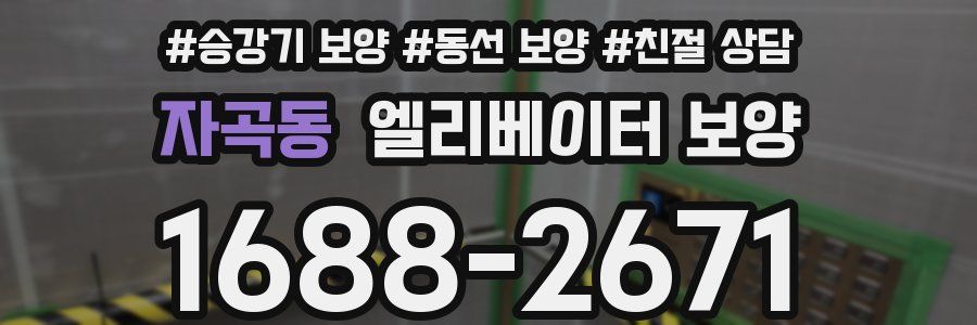 자곡동 엘리베이터 보양