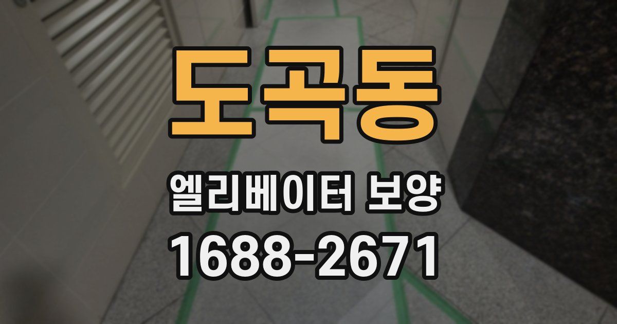 도곡동 엘리베이터 보양