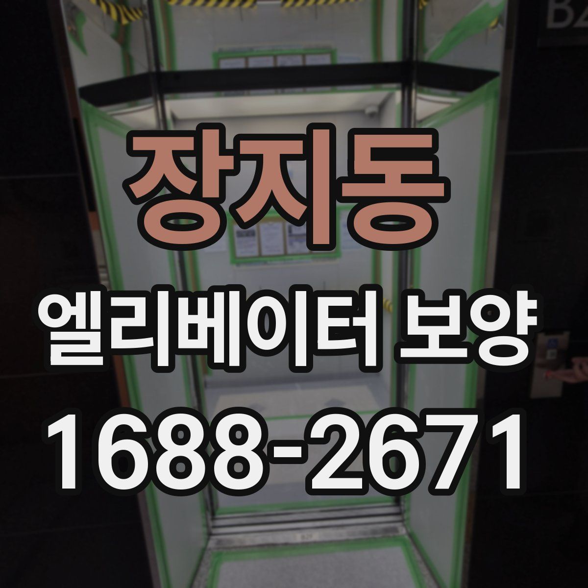 장지동 엘리베이터 보양
