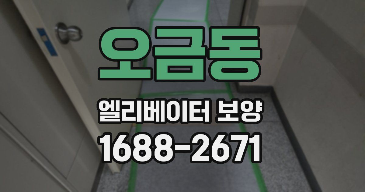 오금동 엘리베이터 보양