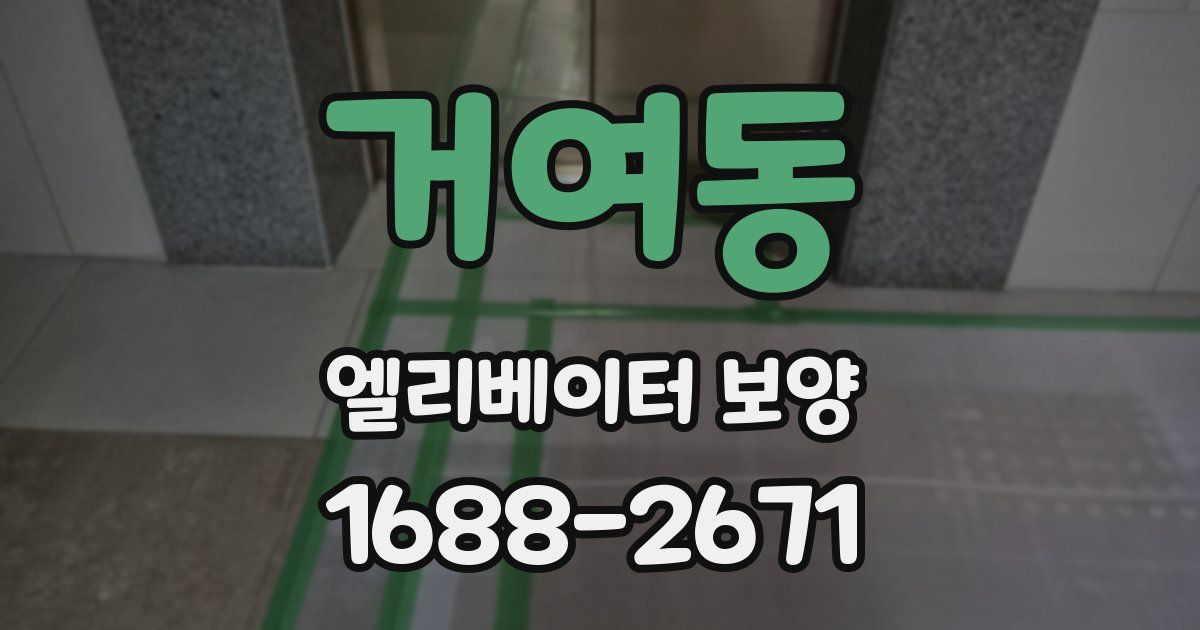 거여동 엘리베이터 보양