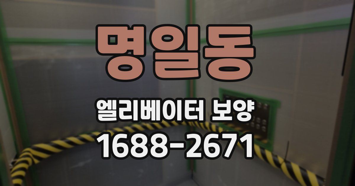 명일동 엘리베이터 보양