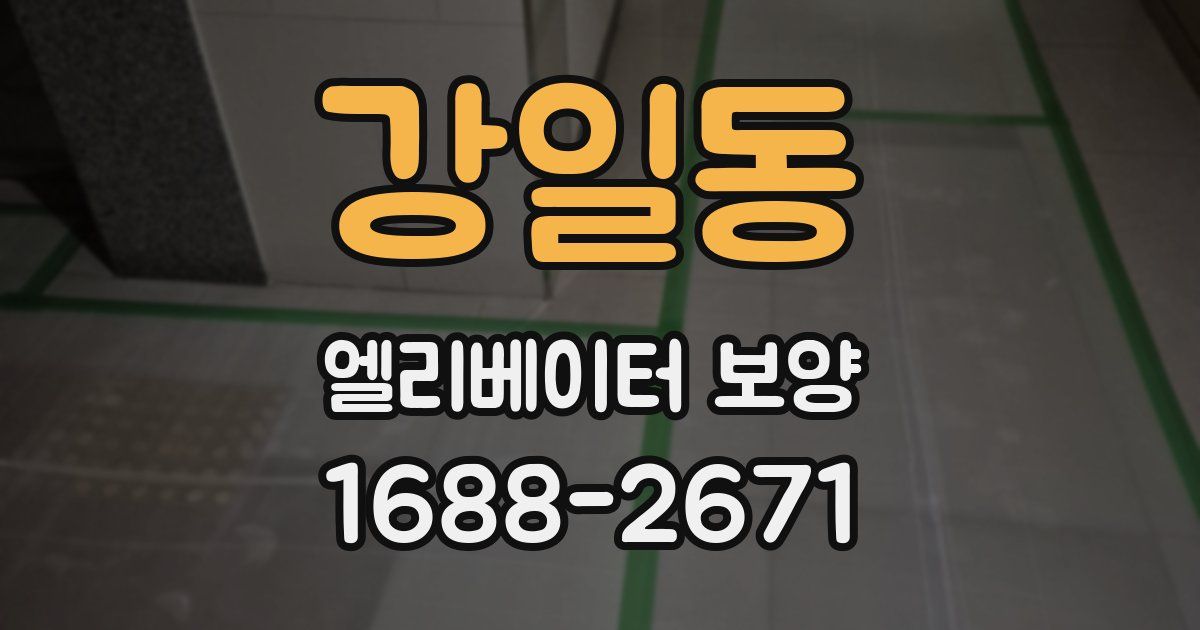강일동 엘리베이터 보양