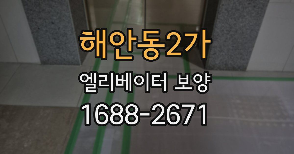 해안동2가 엘리베이터 보양
