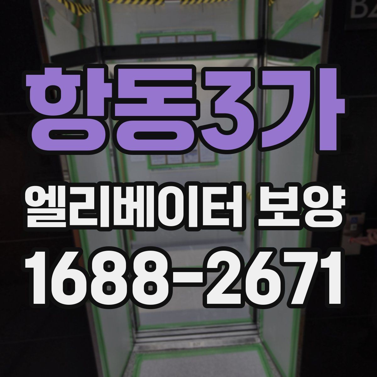 항동3가 엘리베이터 보양 종류별 특징과 활용 상황