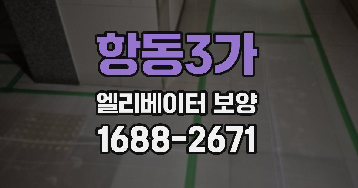 항동3가 엘리베이터 보양
