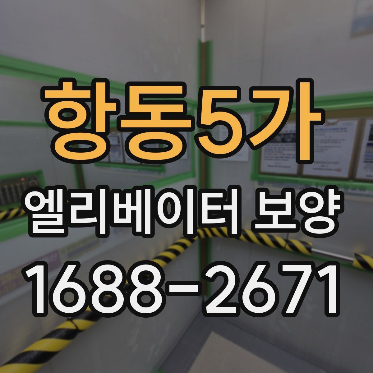 항동5가 엘리베이터 보양 마감 상태를 좋게 유지하는 팁