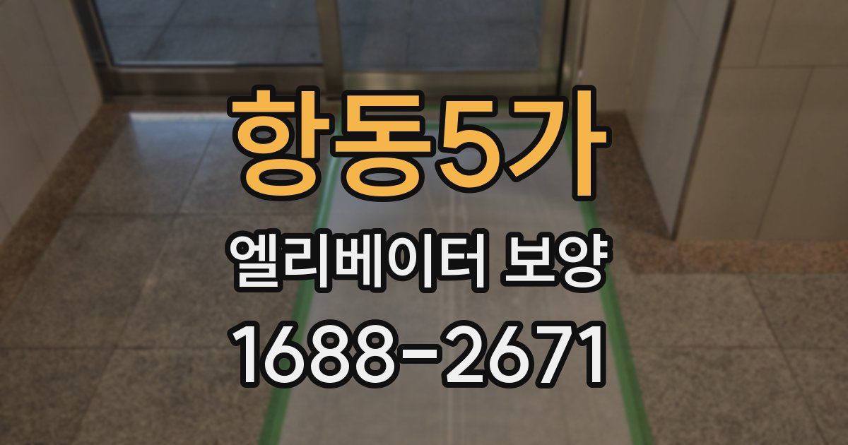 항동5가 엘리베이터 보양