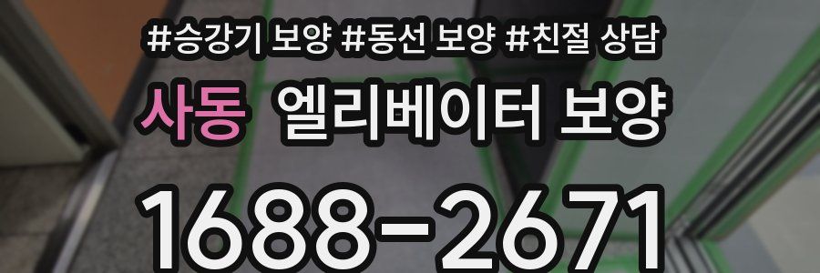 사동 엘리베이터 보양