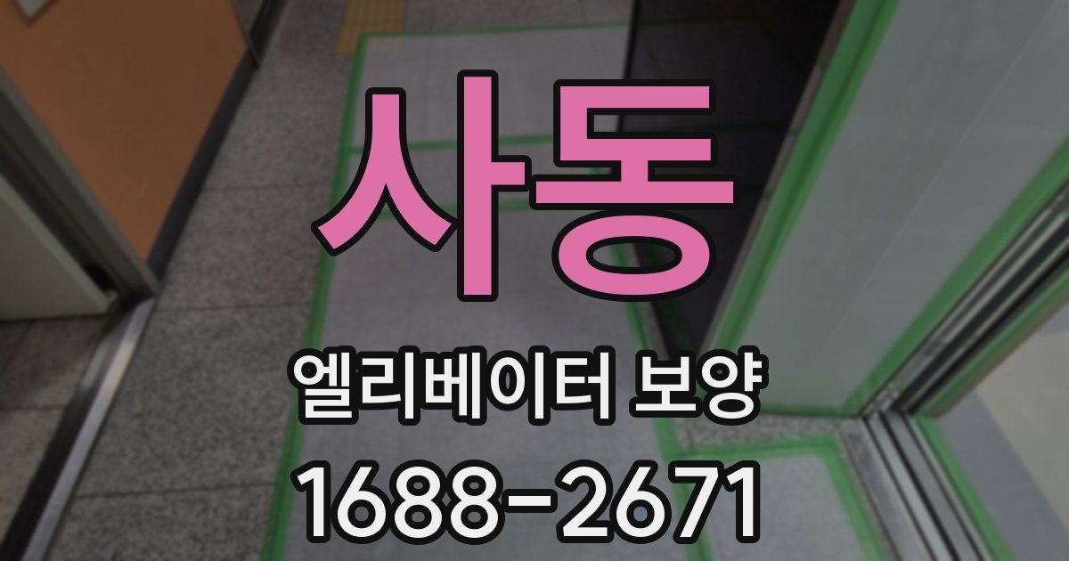 사동 엘리베이터 보양