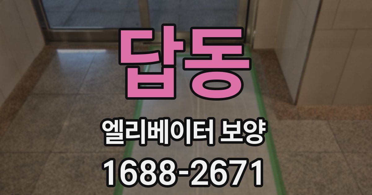 답동 엘리베이터 보양