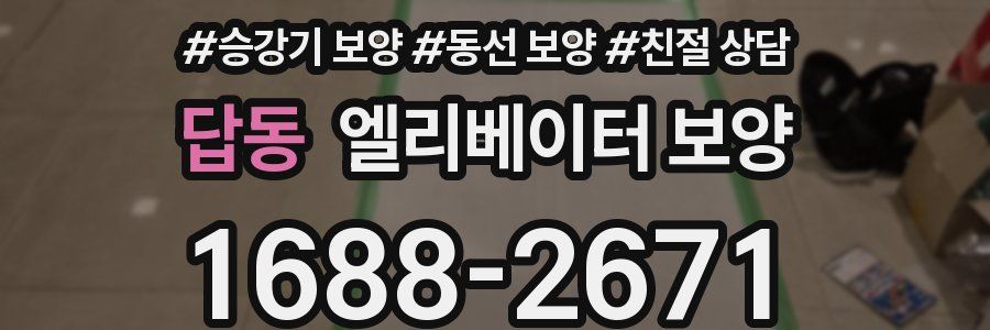 답동 엘리베이터 보양