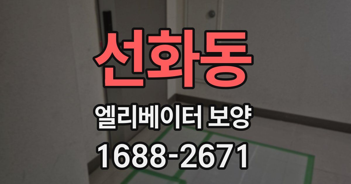 선화동 엘리베이터 보양