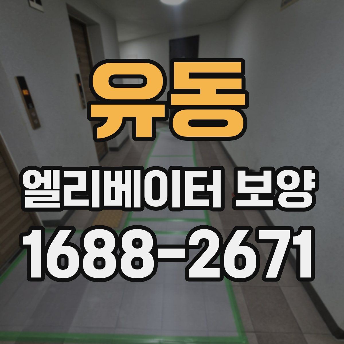 유동 엘리베이터 보양 마감 상태를 좋게 유지하는 팁