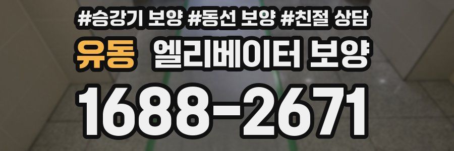 유동 엘리베이터 보양