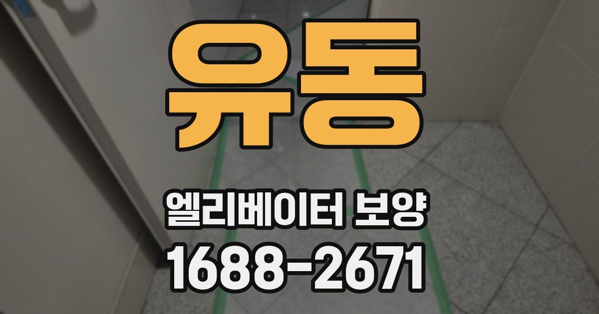 유동 엘리베이터 보양