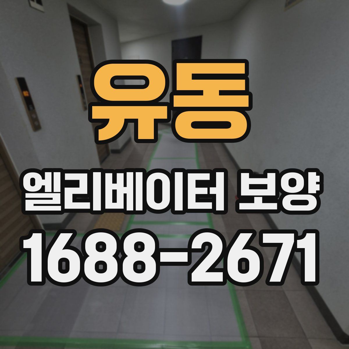 유동 엘리베이터 보양