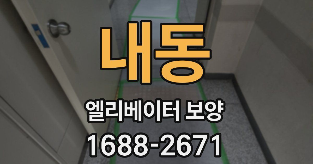 내동 엘리베이터 보양