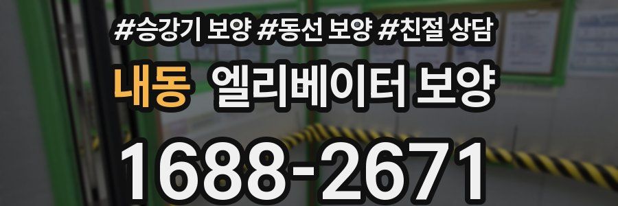 내동 엘리베이터 보양