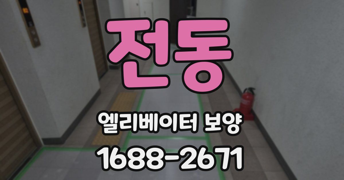 전동 엘리베이터 보양