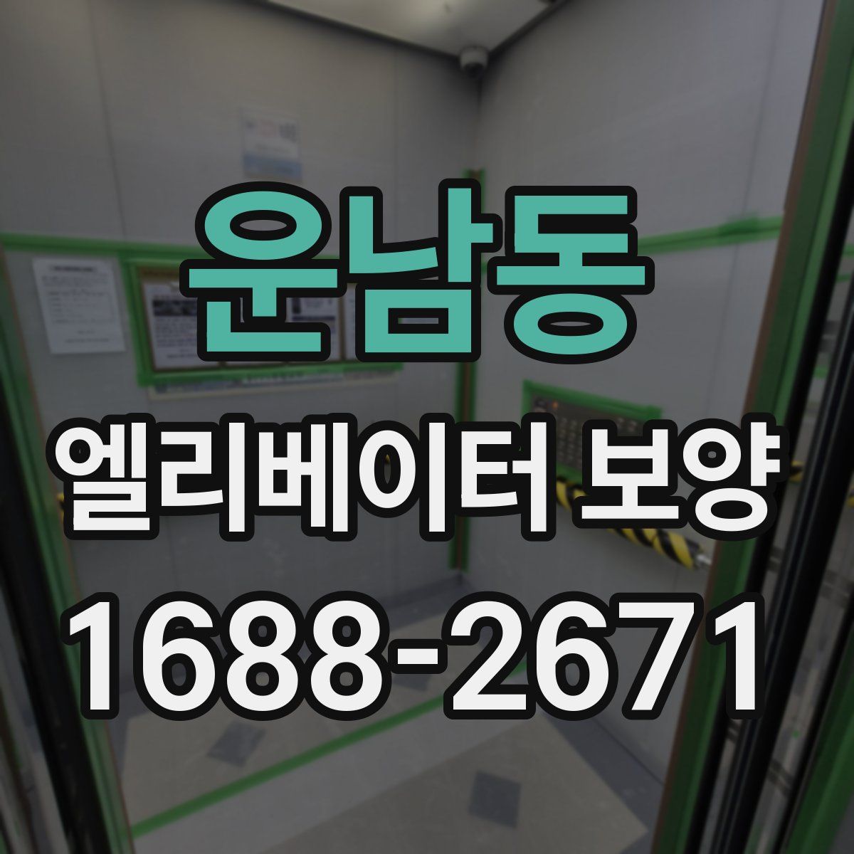 운남동 엘리베이터 보양