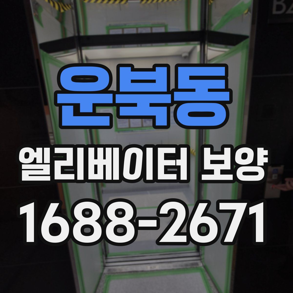 운북동 엘리베이터 보양