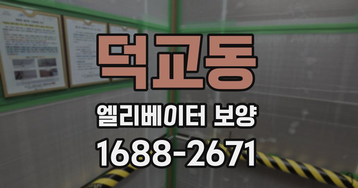 덕교동 엘리베이터 보양